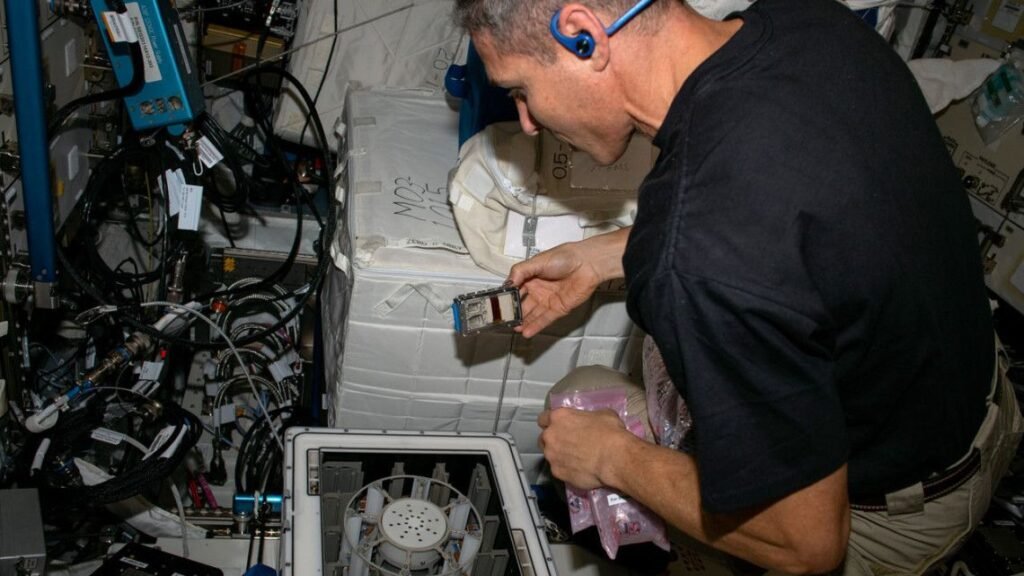 Scientists successfully mine meteorites on International Space Station — using microbes