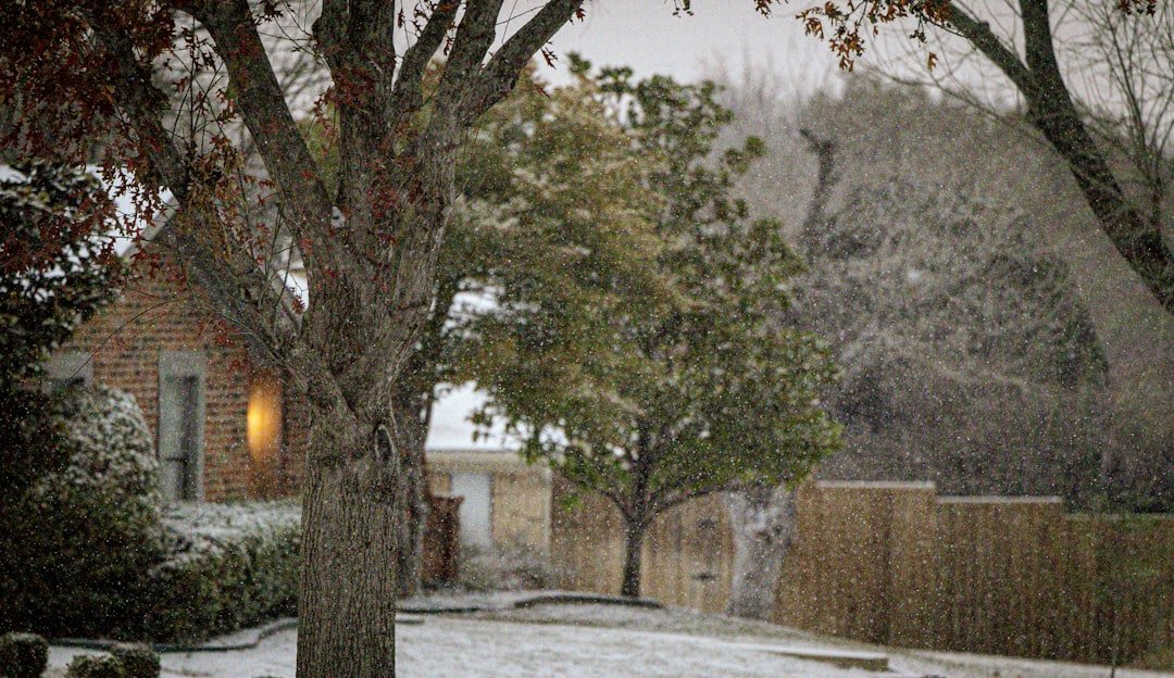 Dallas Weather: Cold front to hit North Texas this weekend