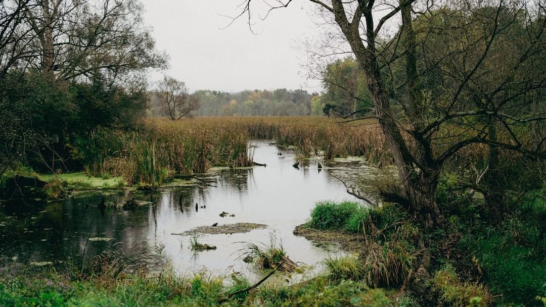 10 Mysterious Places in the US With Unexplained Phenomena