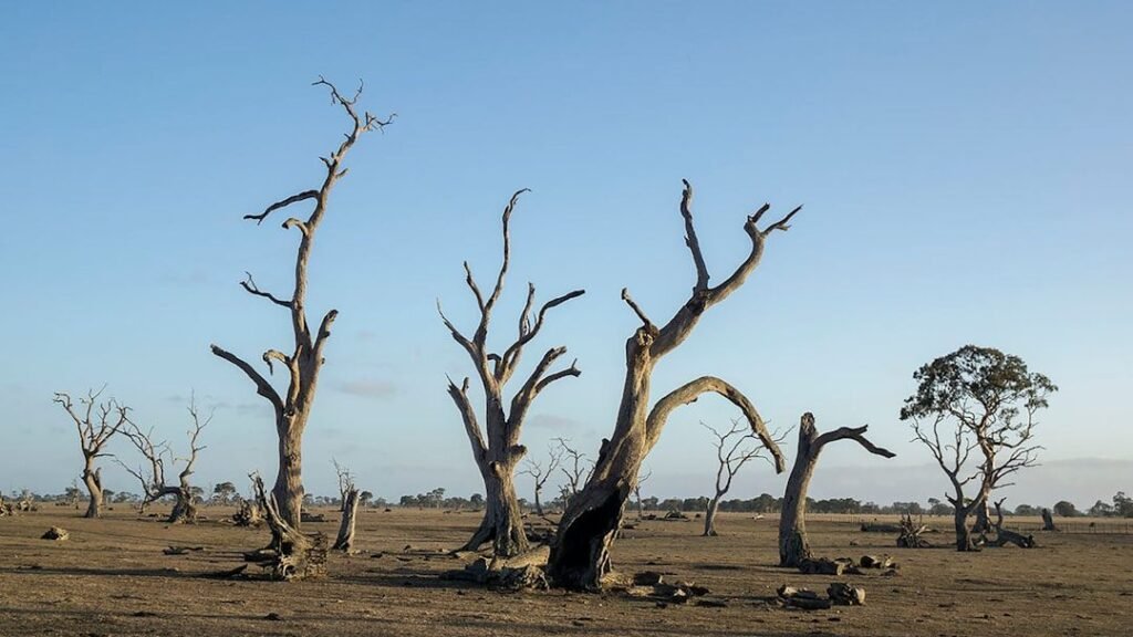 5 Unexpected Consequences of Major Climate Shifts in History