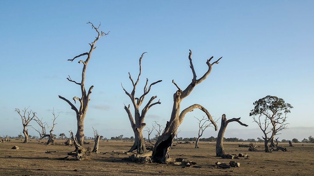 5 Unexpected Consequences of Major Climate Shifts in History