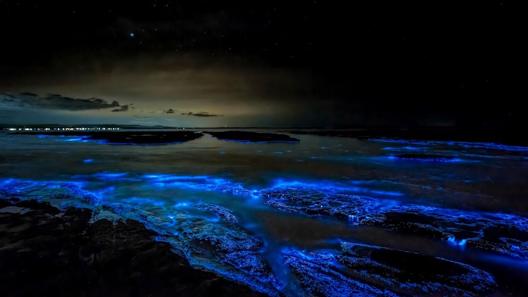 8 Breathtaking Natural Phenomena That Defy Our Current Understanding