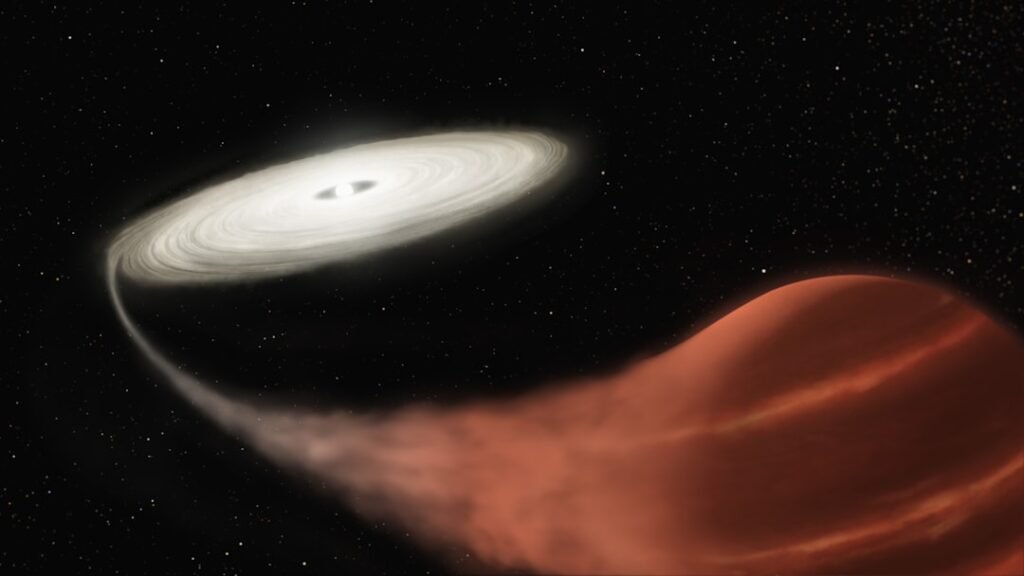 Einstein probe catch may show black hole shredding white dwarf