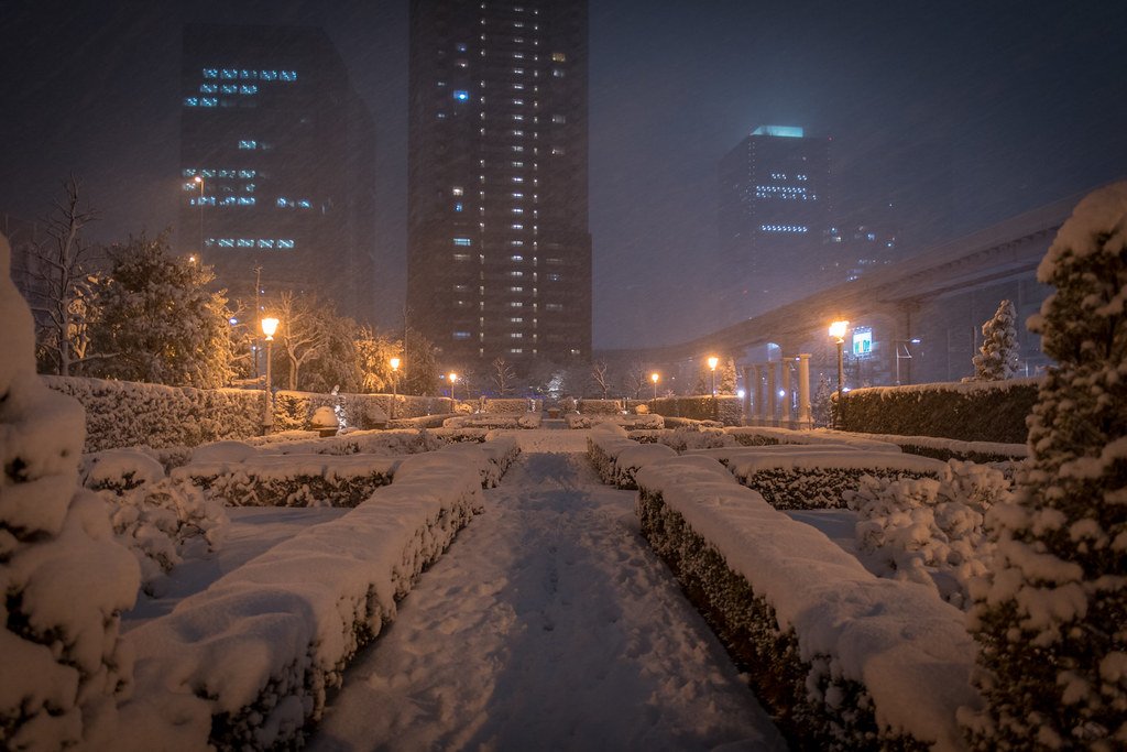 A Blizzard With Record Snowfall for Parts of the Northeast