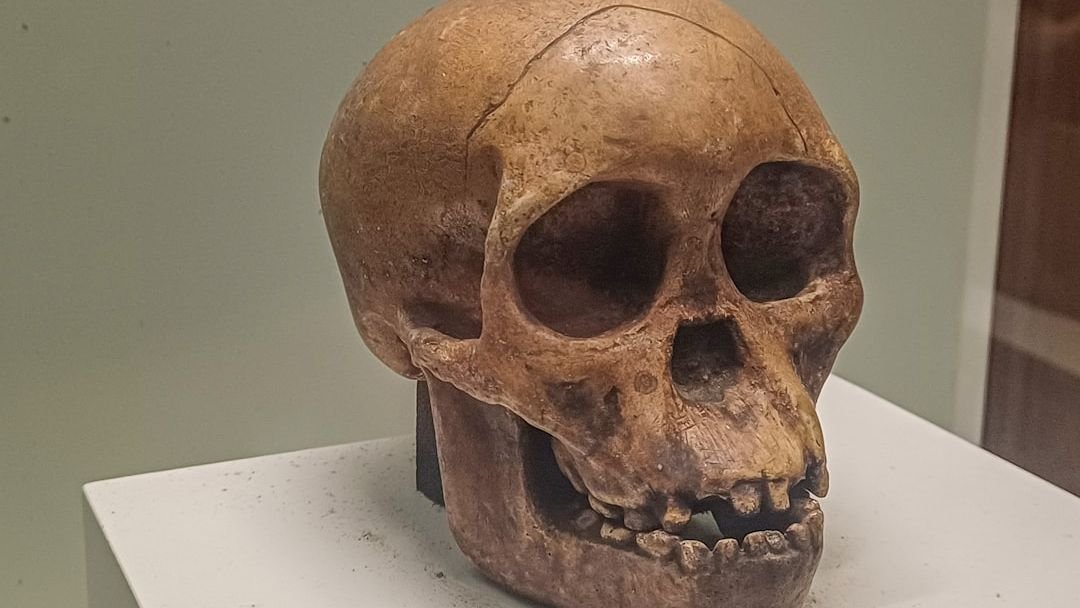 The Human Story: New Discoveries That Rewrite Our Ancient Past