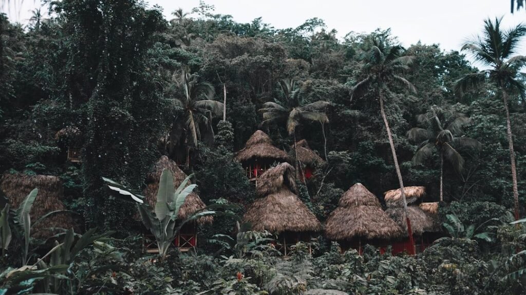 8 Uncontacted Tribes Still Existing Today and Why They Remain Isolated