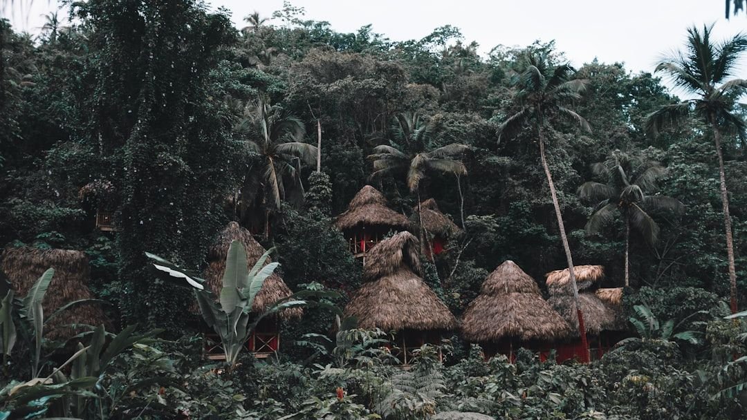 8 Uncontacted Tribes Still Existing Today and Why They Remain Isolated