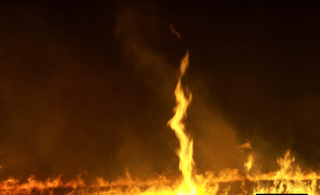Fire Whirls: When Flames Form a Tornado