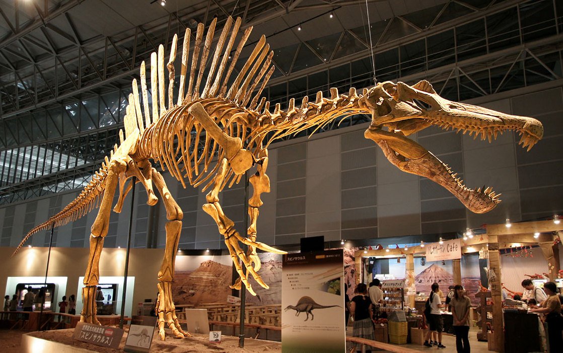 95 Million-Year-Old Stunning Spinosaurus Species Emerges from Sahara Desert