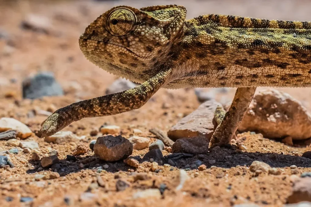 10 Remarkable Ways Animals Adapt to Extreme Environments