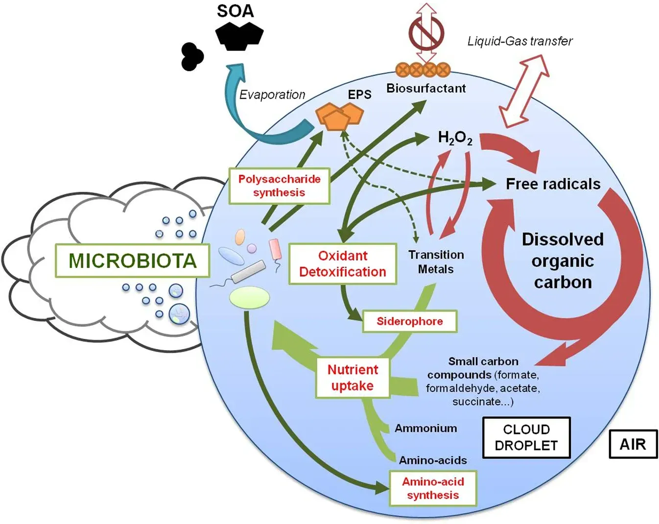 Microscopic Life Forms Drive Planetary Processes We Barely Comprehend