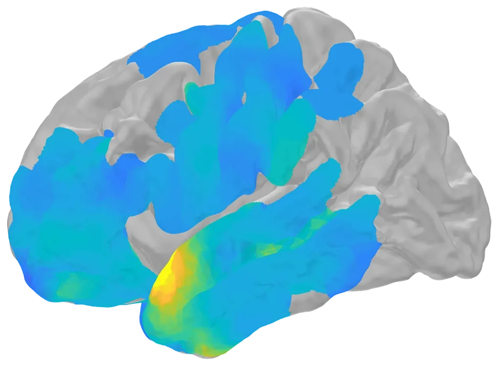 How Do Our Memories Form? The Latest Discoveries in Neuroscience
