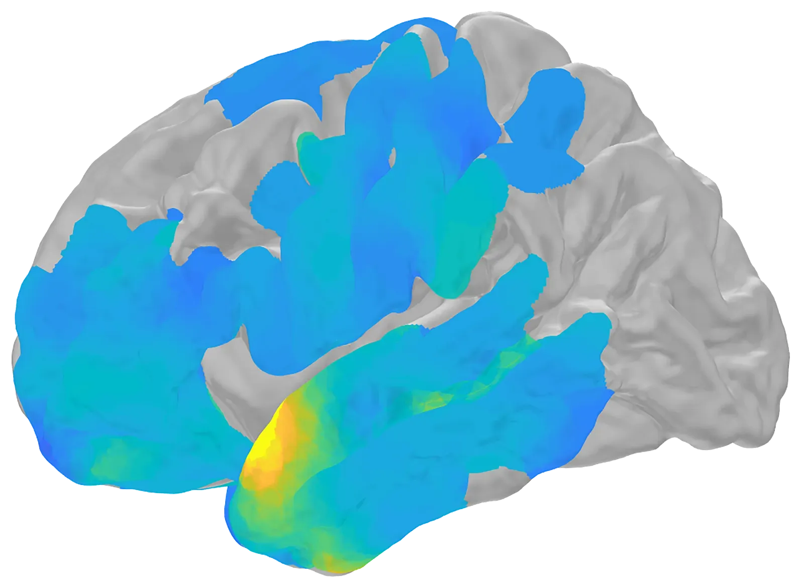 How Do Our Memories Form? The Latest Discoveries in Neuroscience