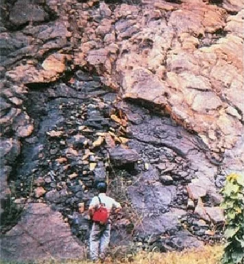 The Natural Nuclear Reactor of Oklo