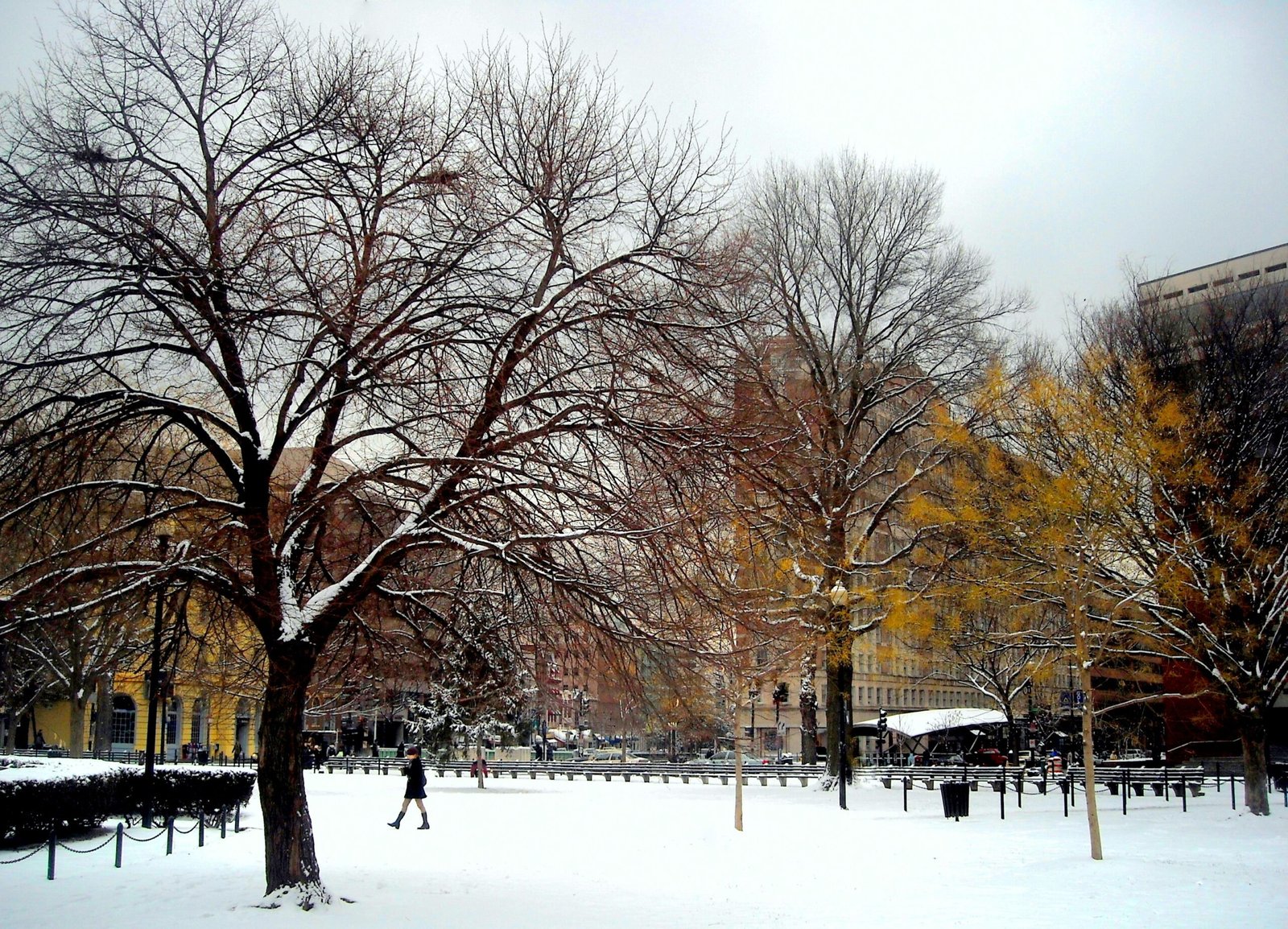 Morning ice gives way to rain, fog and slick conditions across DC area