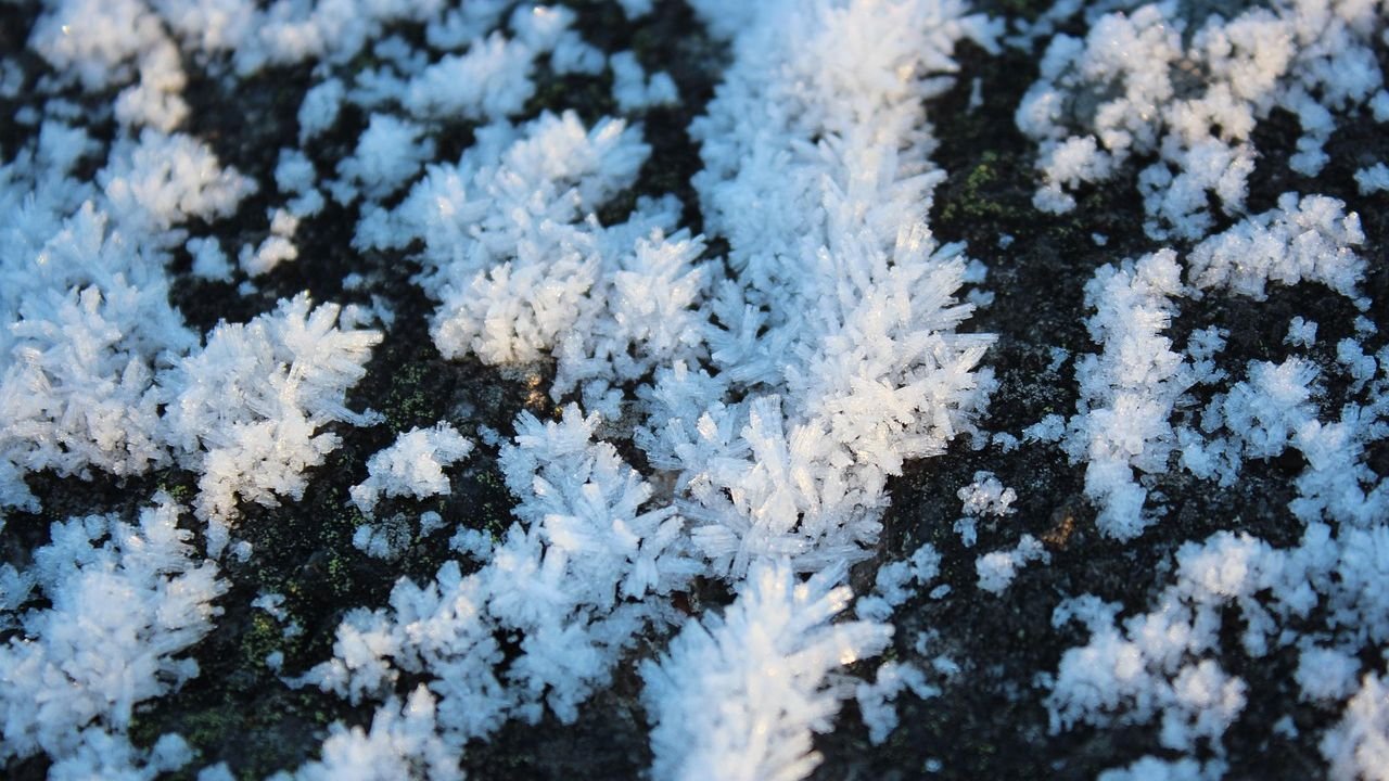 Permafrost Loss and Northern Wildfires Forming A Dangerous Climate Feedback Loop