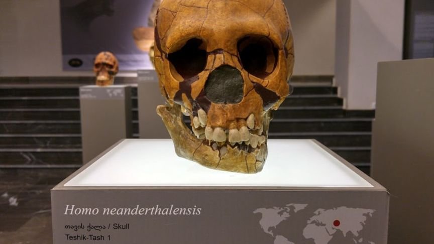 The Deep History of Language: How Our Ancestors Began to Speak and Communicate