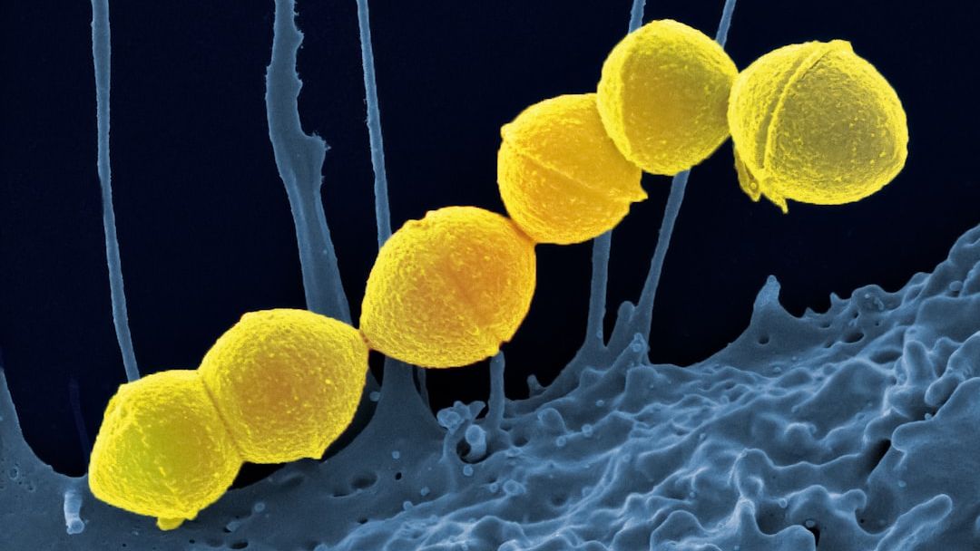 Our Bodies Are Home to a Universe of Microbes Guiding Our Every Move and Thought