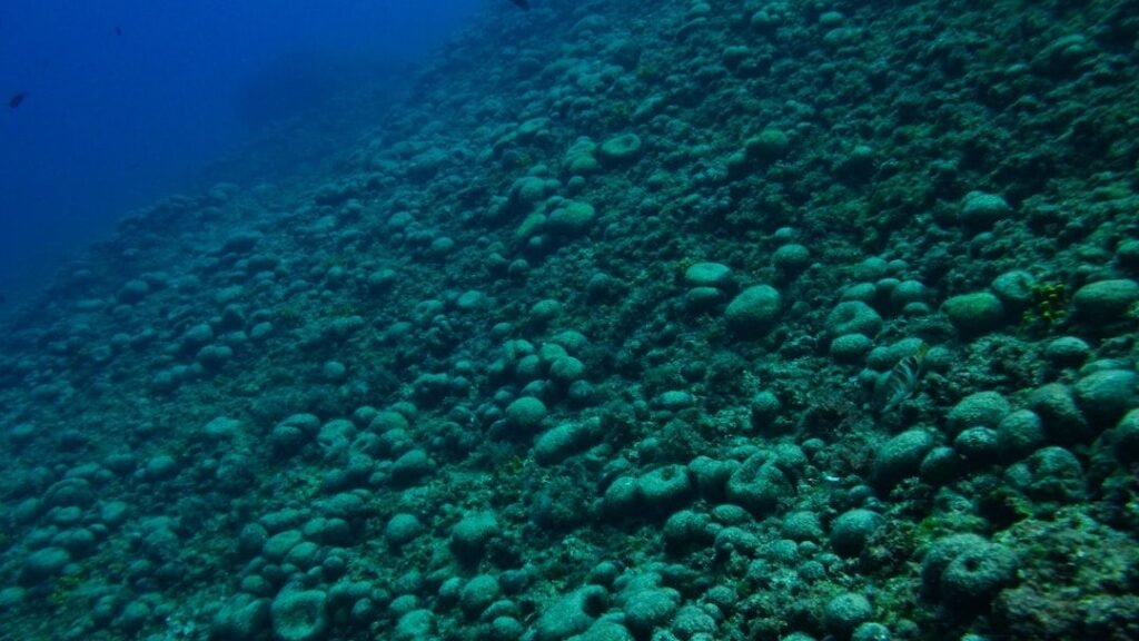 What Hidden Powers Lie Within the Deepest Parts of the Ocean We Haven't Explored?