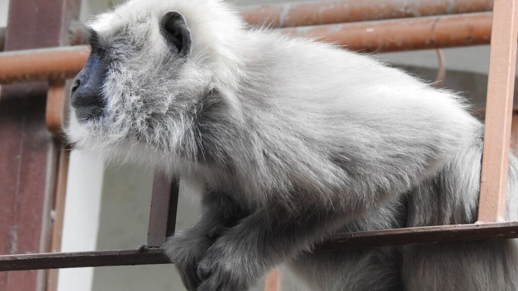 8 Creatures with Zodiac-Like Instincts That Seem to Defy Logic