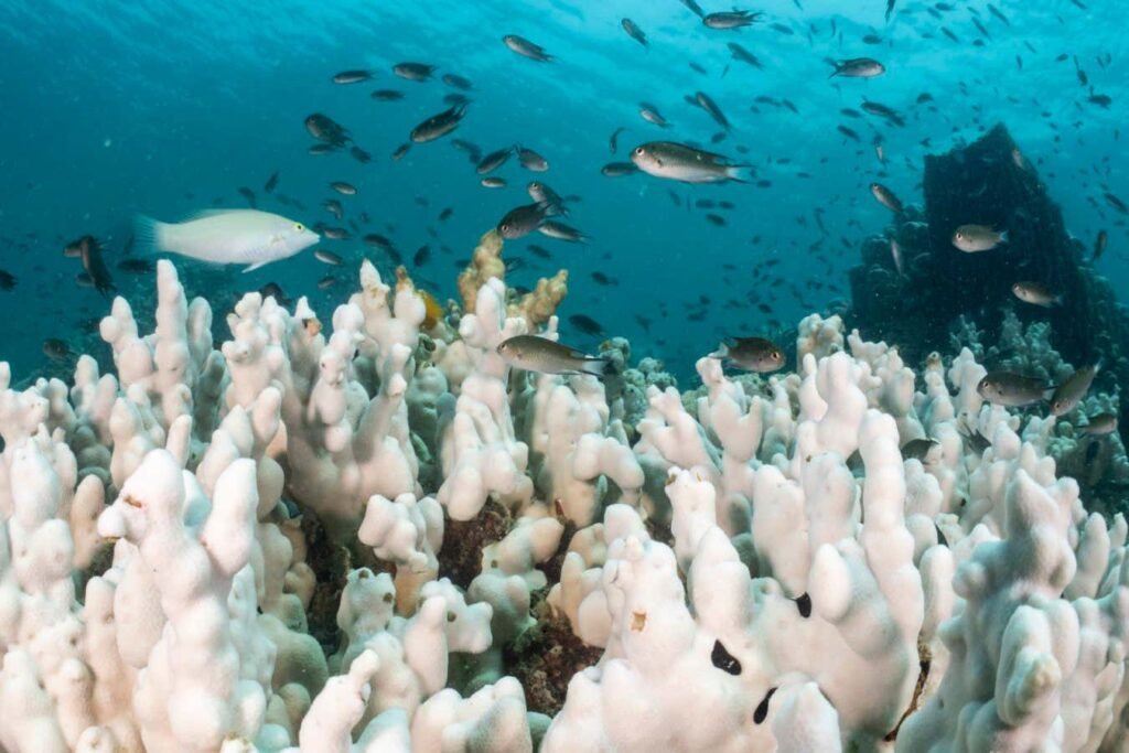 Earth is now heating up twice as fast as in previous decades