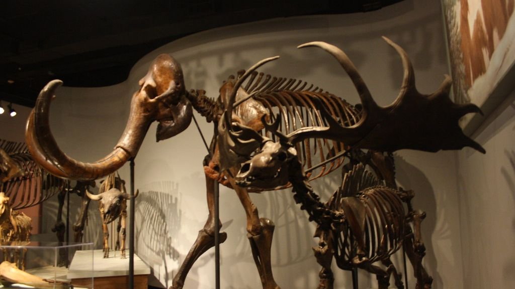 8 Extinct Animals That Possessed Truly Extraordinary and Unique Adaptations