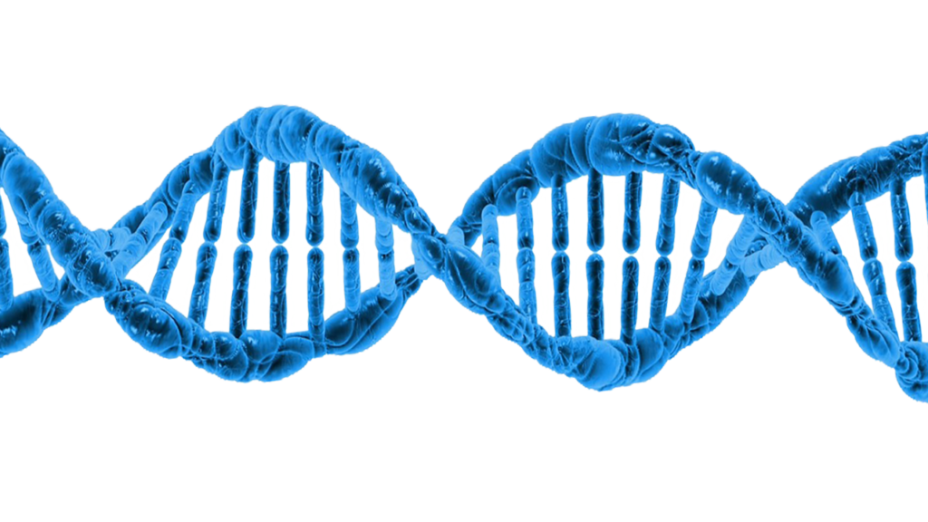 The Human Body Contains Enough DNA to Stretch to Pluto and Back