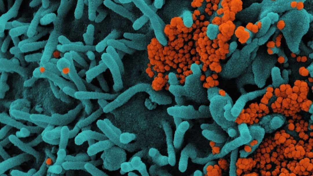 Deep Ocean Microbes Could Hold the Key To Fighting Climate Change