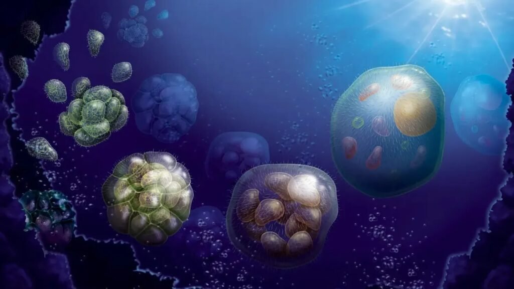 Scientists May Have Finally Cracked One of Evolution's Most Baffling Mysteries