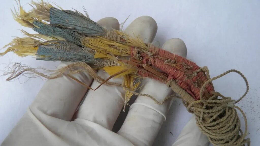 Ancient Parrot DNA Reveals a Surprisingly Sophisticated Migration Story