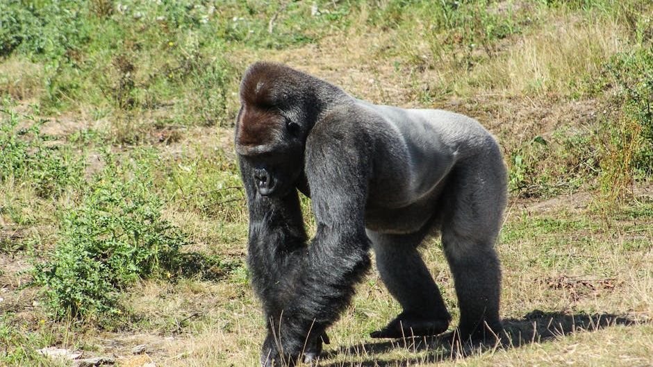 8 Endangered Species You Can Help Save Today (and Why It Matters)