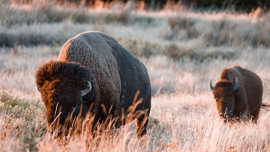 10 Unique American Wildlife Species You Might Not Know Exist