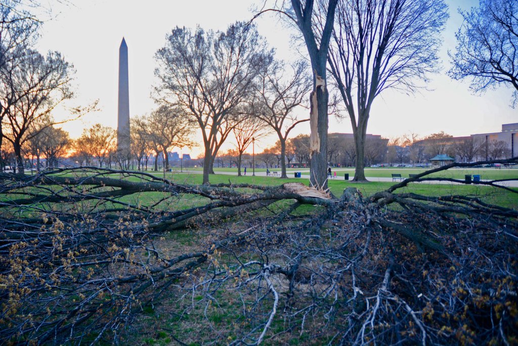Wacky March weather continues in DC region with wind gusts to 40 mph