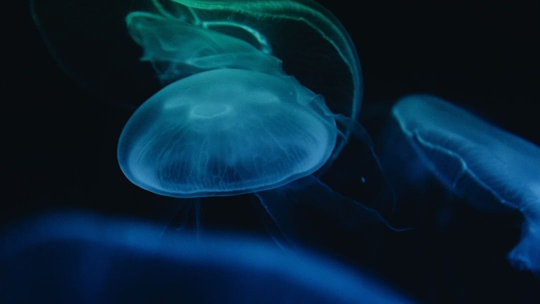 Earth’s Deepest Oceans Harbor Secrets That Could Change Everything