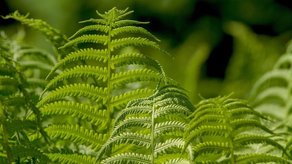 Some Plants Possess a Surprising Level of Intelligence