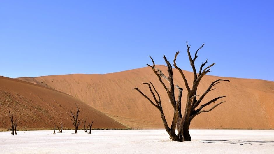 10 Fascinating Facts About Earth's Most Extreme Environments