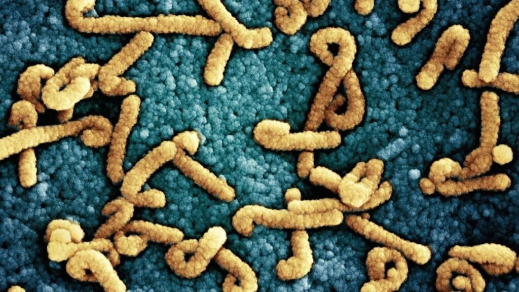 The Invisible World: Exploring Microbes That Shape Our Planet