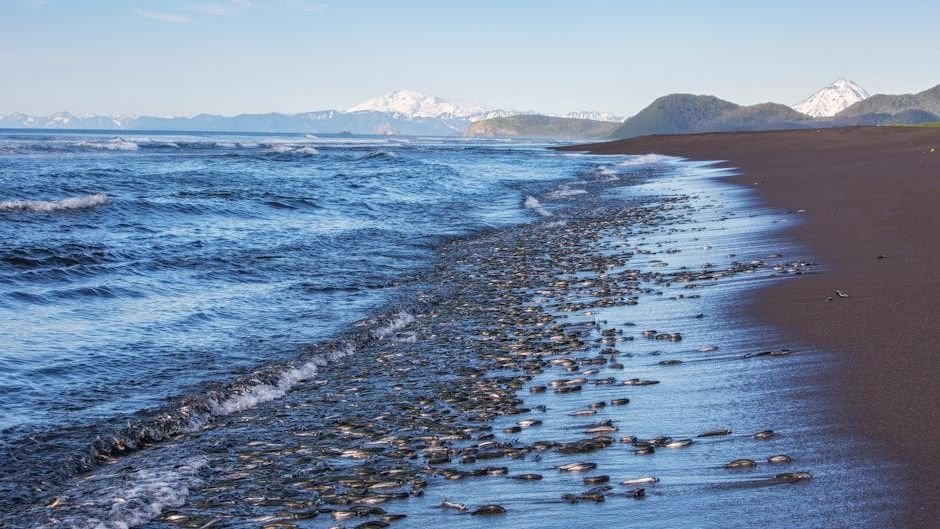 The Ocean Is Running Out of Breath and Scientists Are Sounding the Alarm