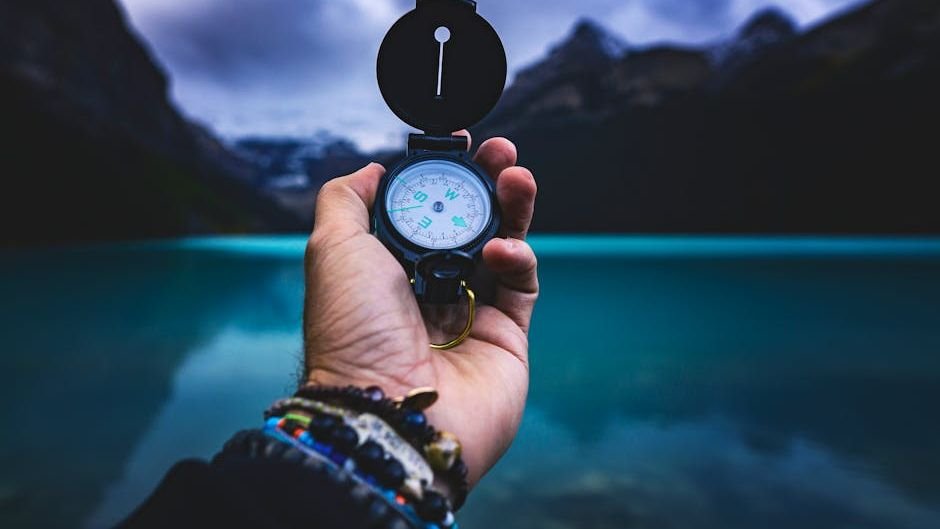 The Earth's Magnetic Reversal: What Happens When North Becomes South?