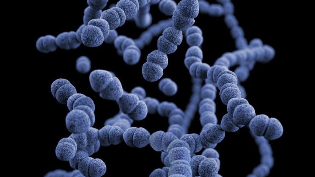 8 Unexplained Biological Phenomena That Continue to Baffle Modern Researchers