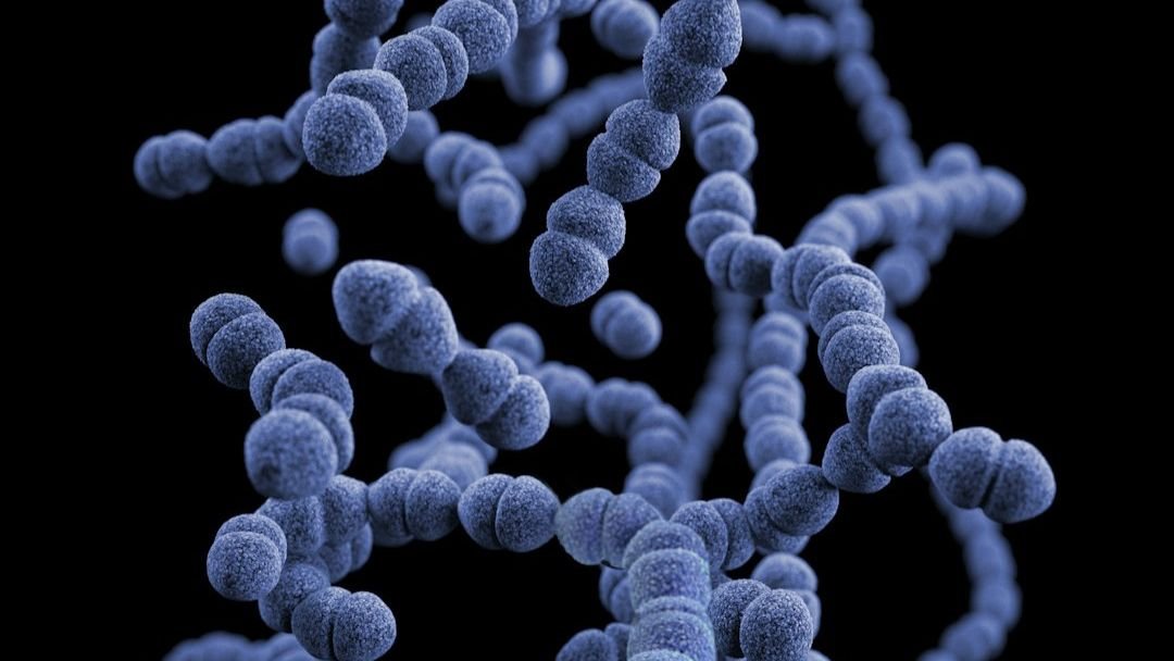 8 Unexplained Biological Phenomena That Continue to Baffle Modern Researchers