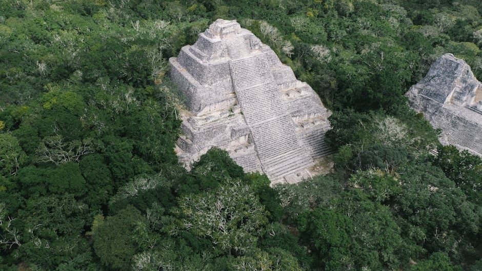 Scientists Discover New Evidence of Lost Civilizations in the Amazon Rainforest