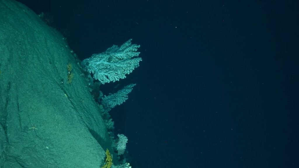 Could This Newly Discovered Ocean Trench Hold Keys to Earth's Origins?