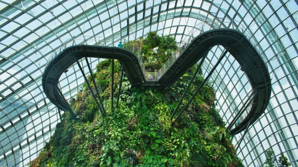 7 Everyday Inventions Inspired by Nature's Ingenious Designs