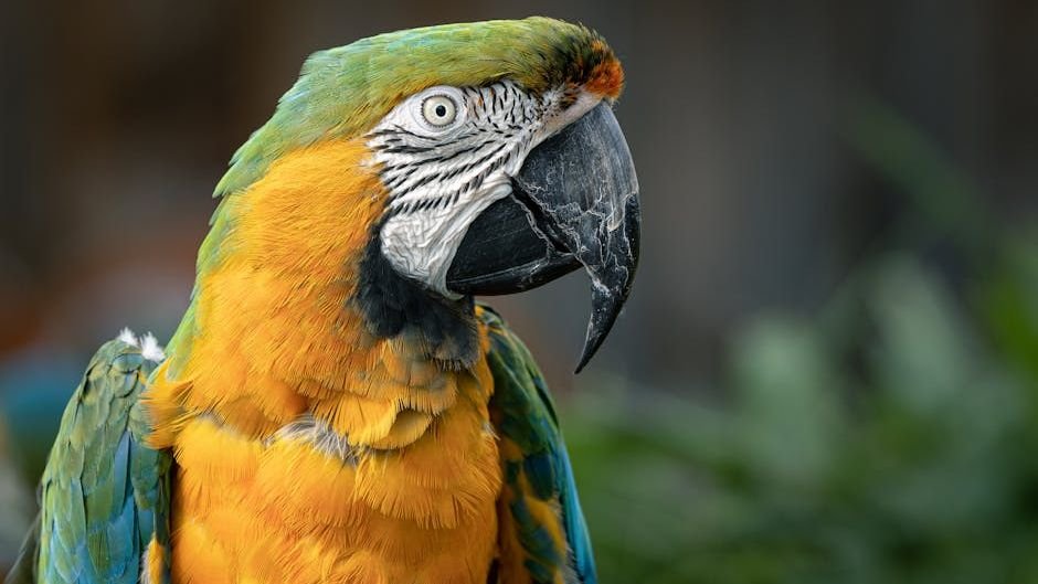 7 Brilliant Bird Behaviors That Show Their Incredible Intelligence