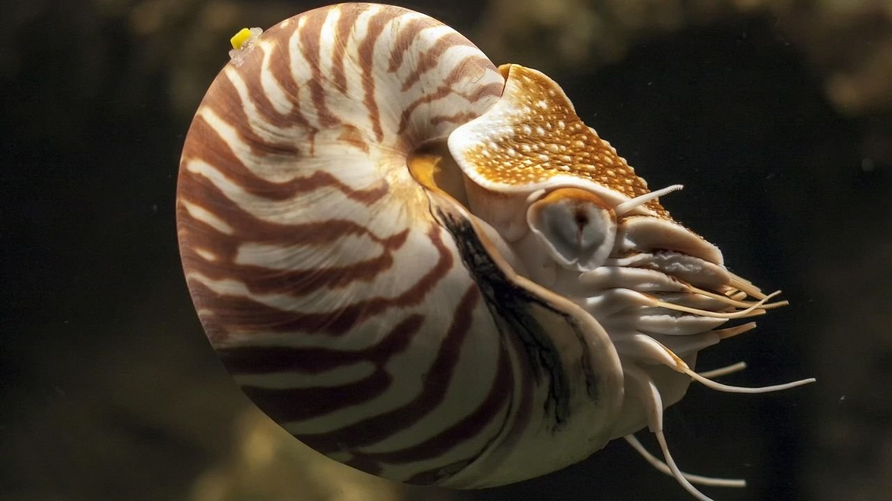 10 Little-Known Facts About the World’s Oldest Living Organisms