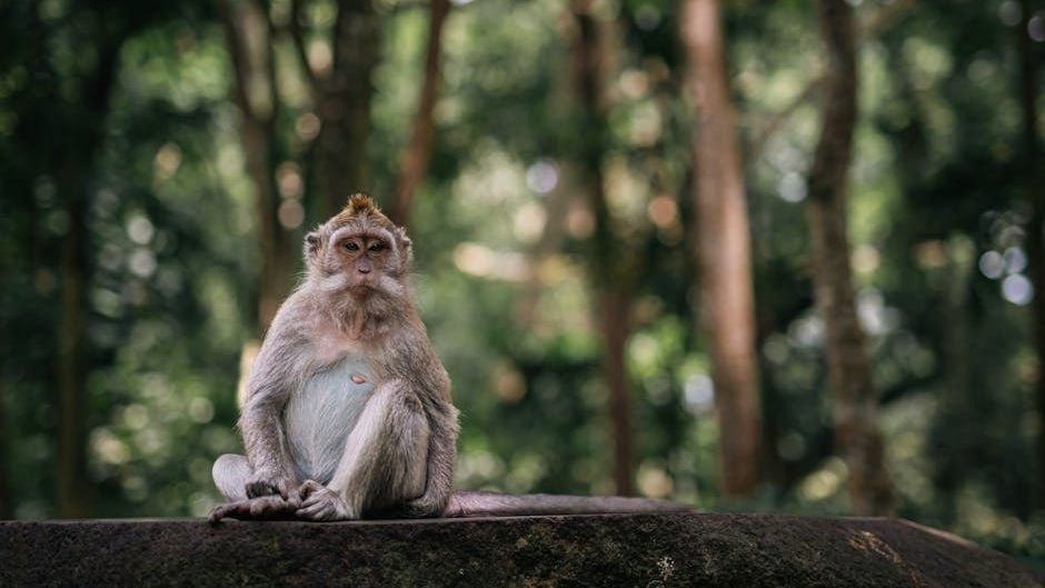 The Enduring Mystery of Animal Consciousness: Do They 'Think' Like Us?