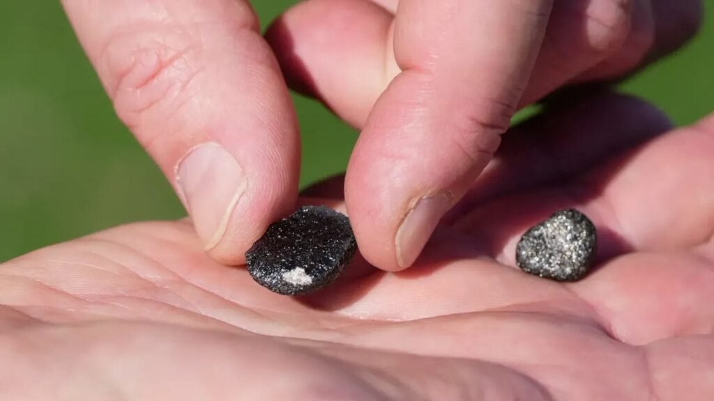 The Ohio Fireball That Lit Up the Night Sky and Sent Meteorite Hunters Racing Across Farmland