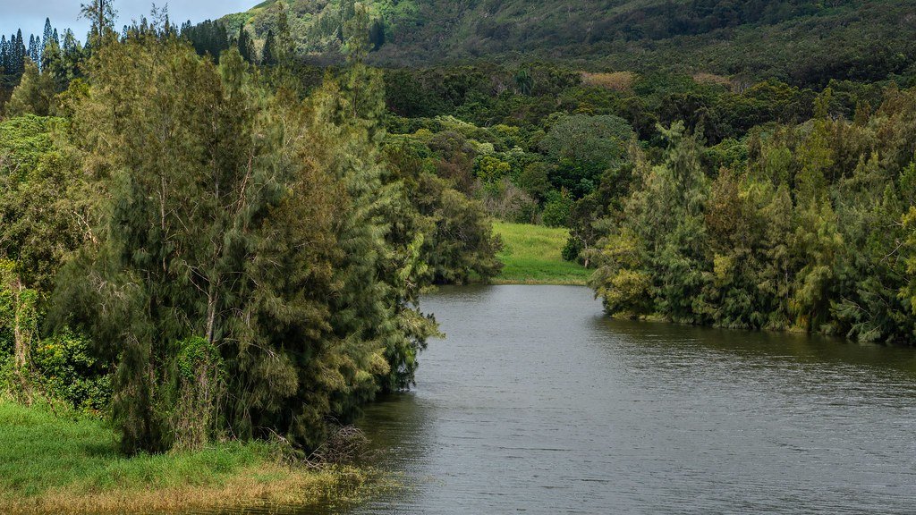 Evacuations Ordered on Oahu as Heavy Rain Brings Flash Flooding