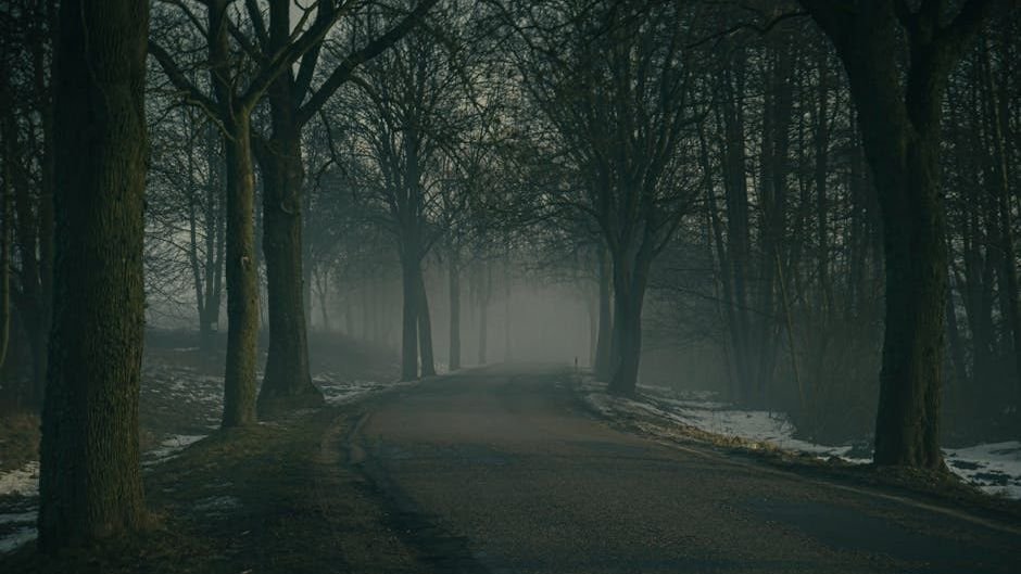 7 Natural Phenomena That Science Still Can't Fully Explain